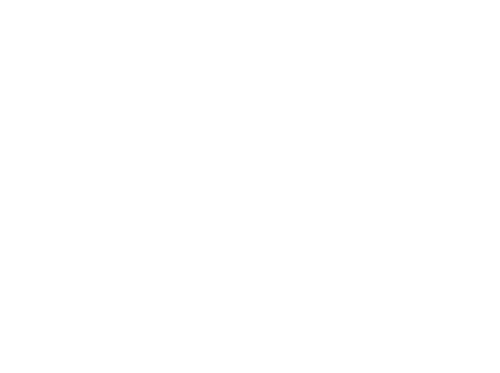 Jaguar Webshop logo