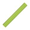 30cm Promotional Plastic Ruler - Lime