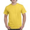 Gildan Colour Heavy Cotton T-Shirt-Daisy