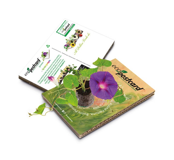 ECO Postcard JSM Brand Exposure