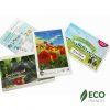 Printed Seed Packets - 101x150mm copy