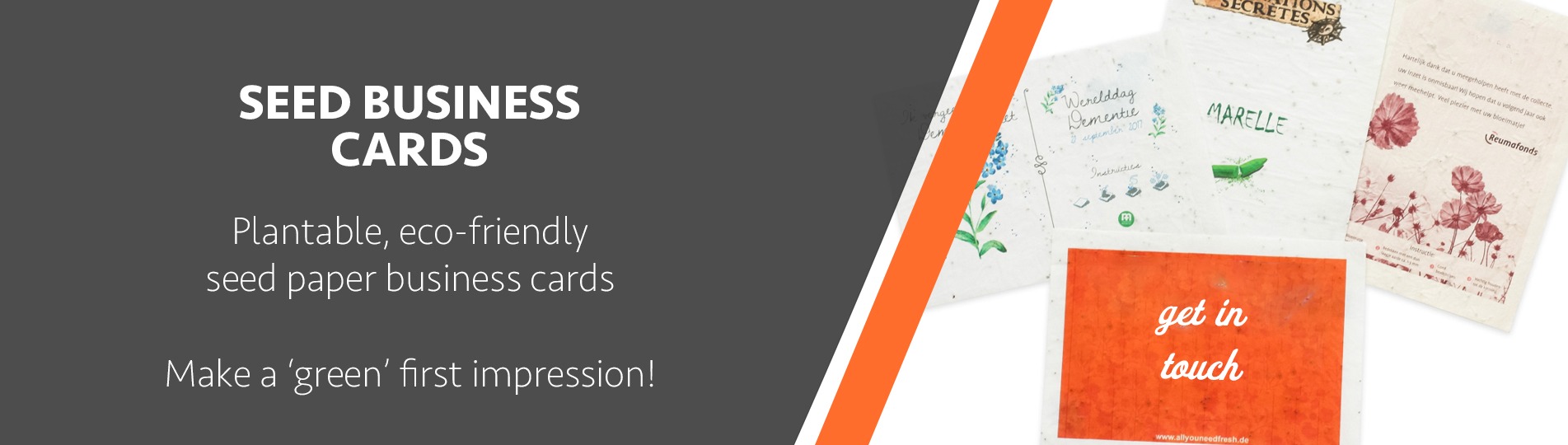 Website banner seed business cardsjpg