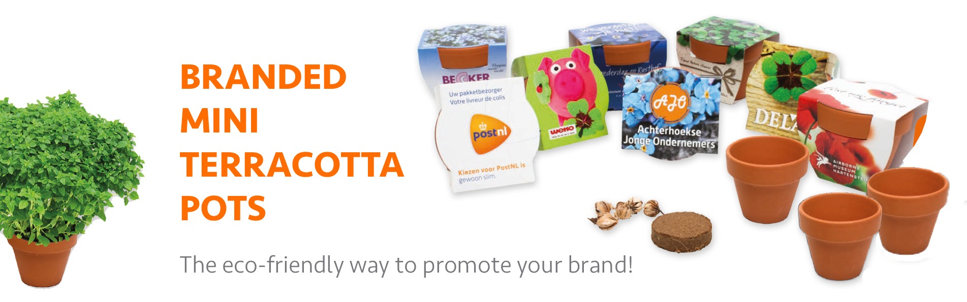 Branded Terracotta Pots Branded Terracotta Pots